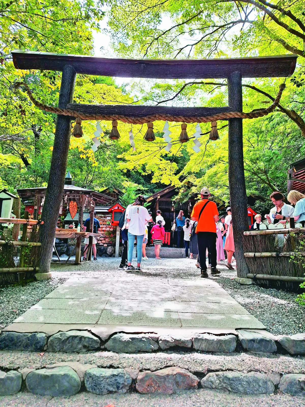 【東瀛遍路】京都野宮神社