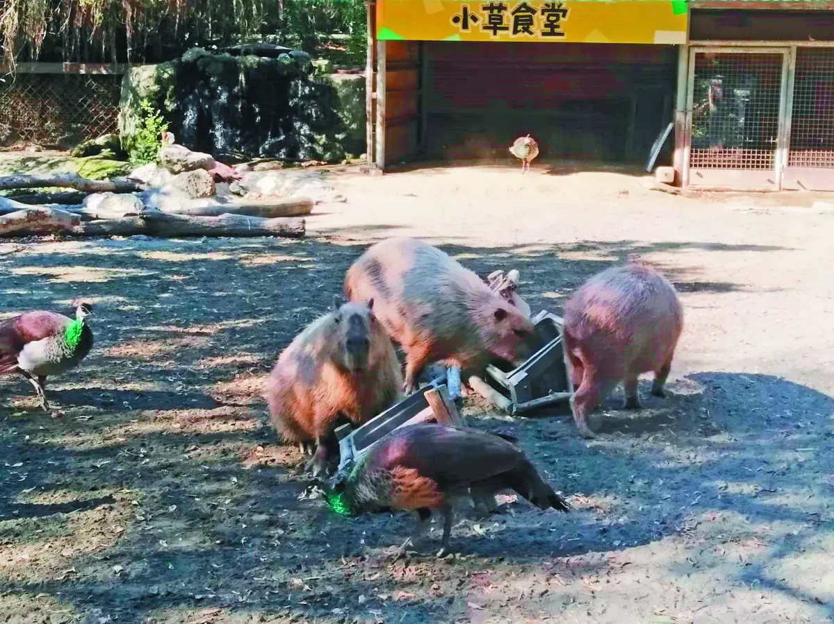 【生活快門】我最上鏡