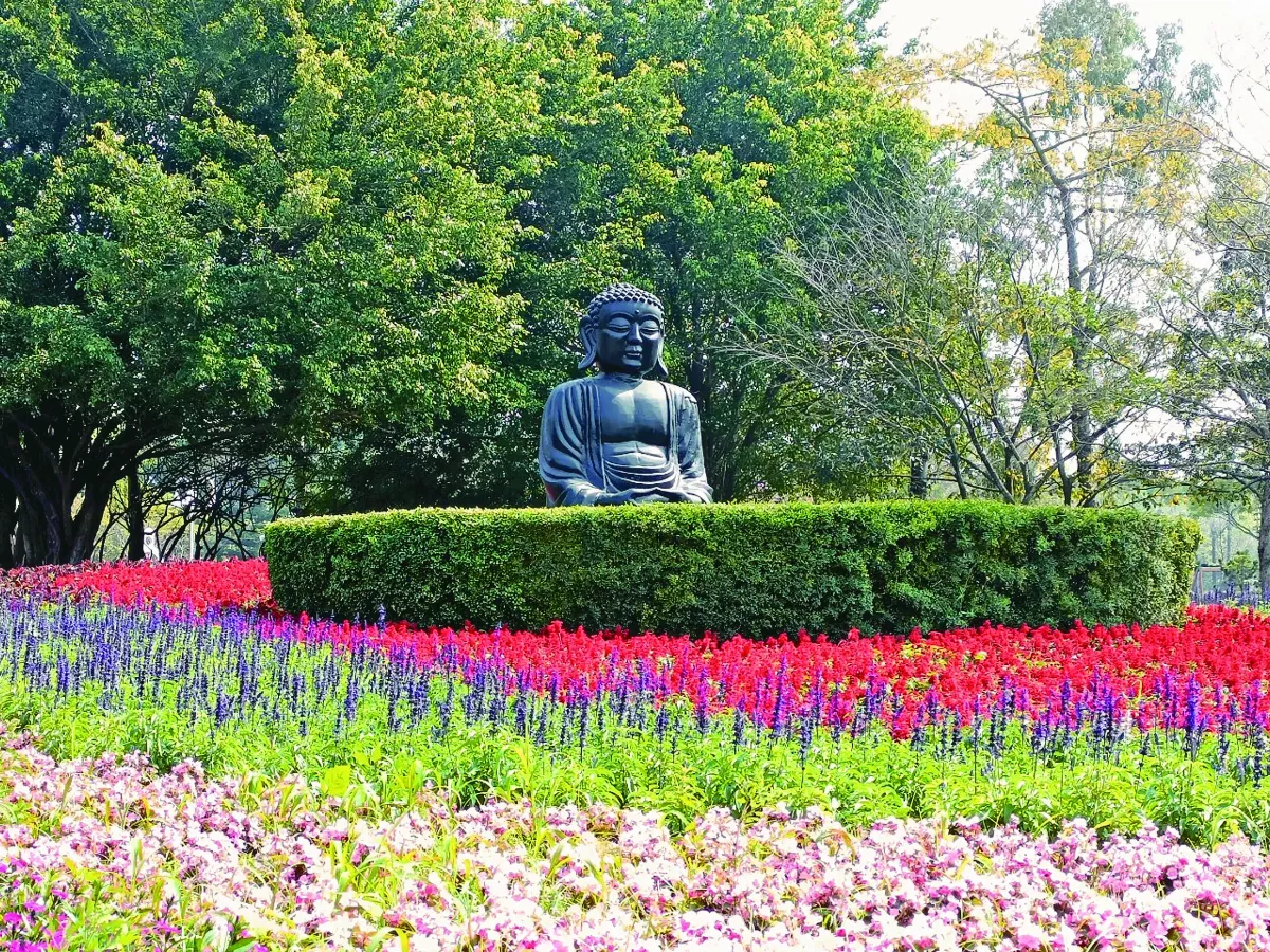 【生活快門】喜見大佛