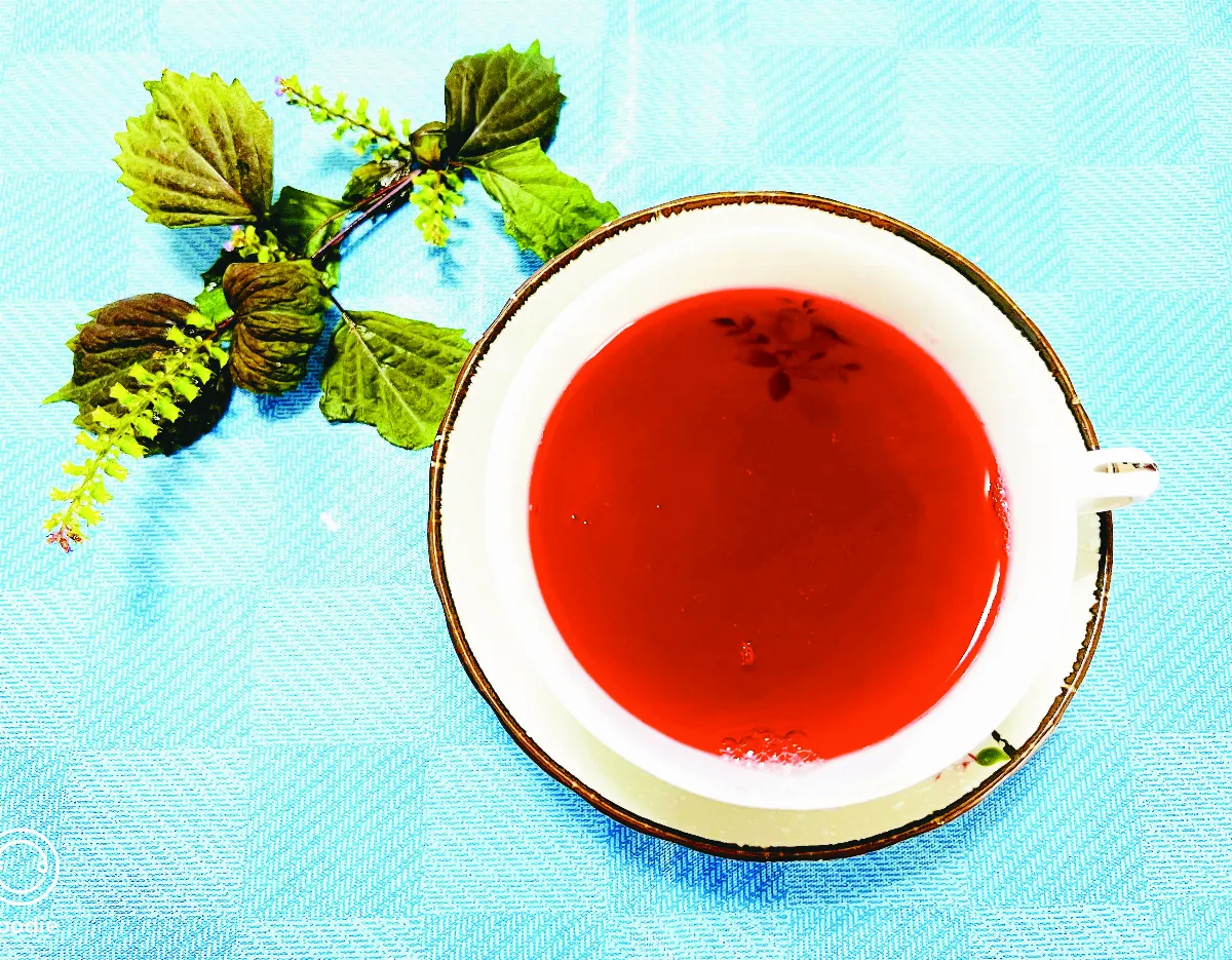 【小雪節氣1122~1207】洛神花露神清氣爽