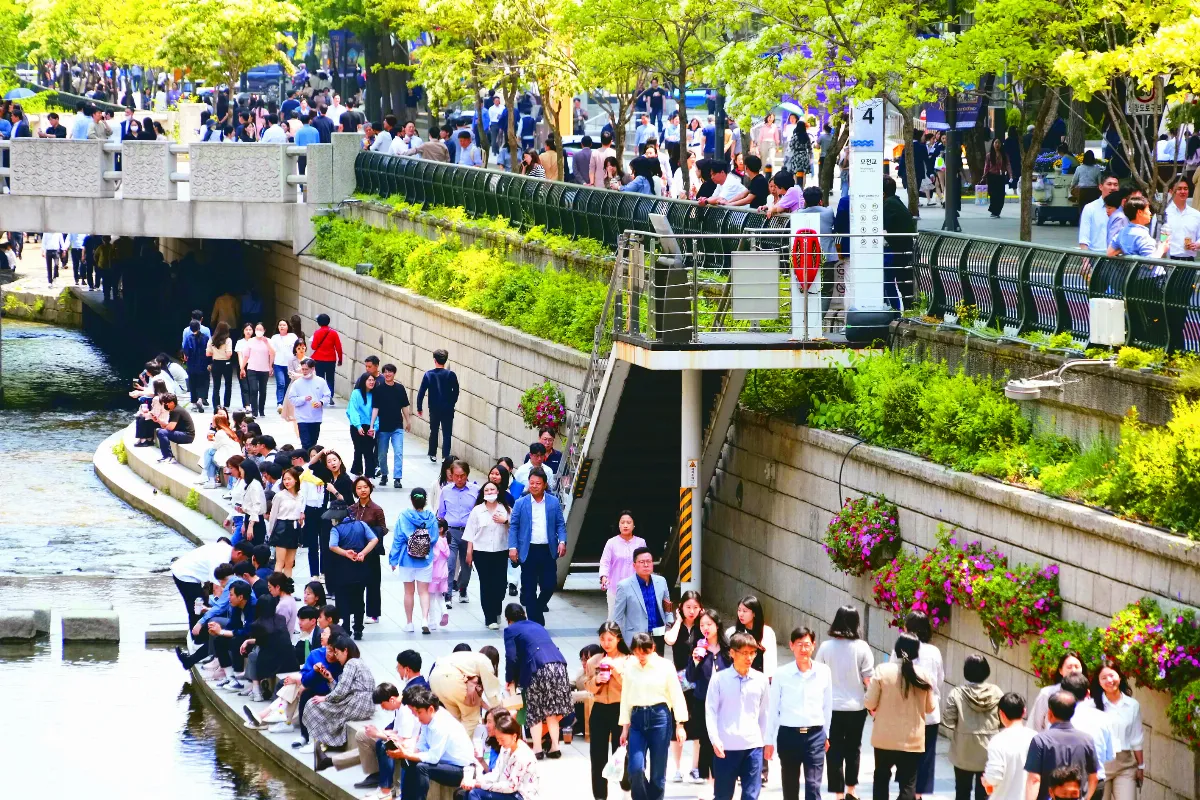 原鄉彈奏史坦威  譜出另類音樂價值