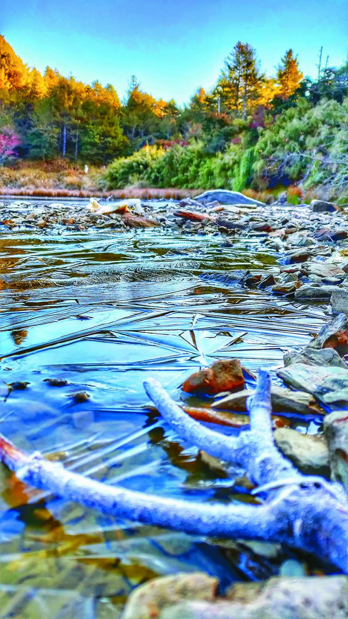 寒流發威 天池成冰湖