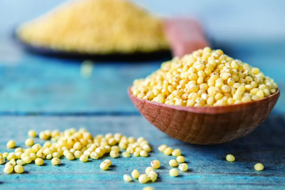 天然糧補 穀之精養胃食療