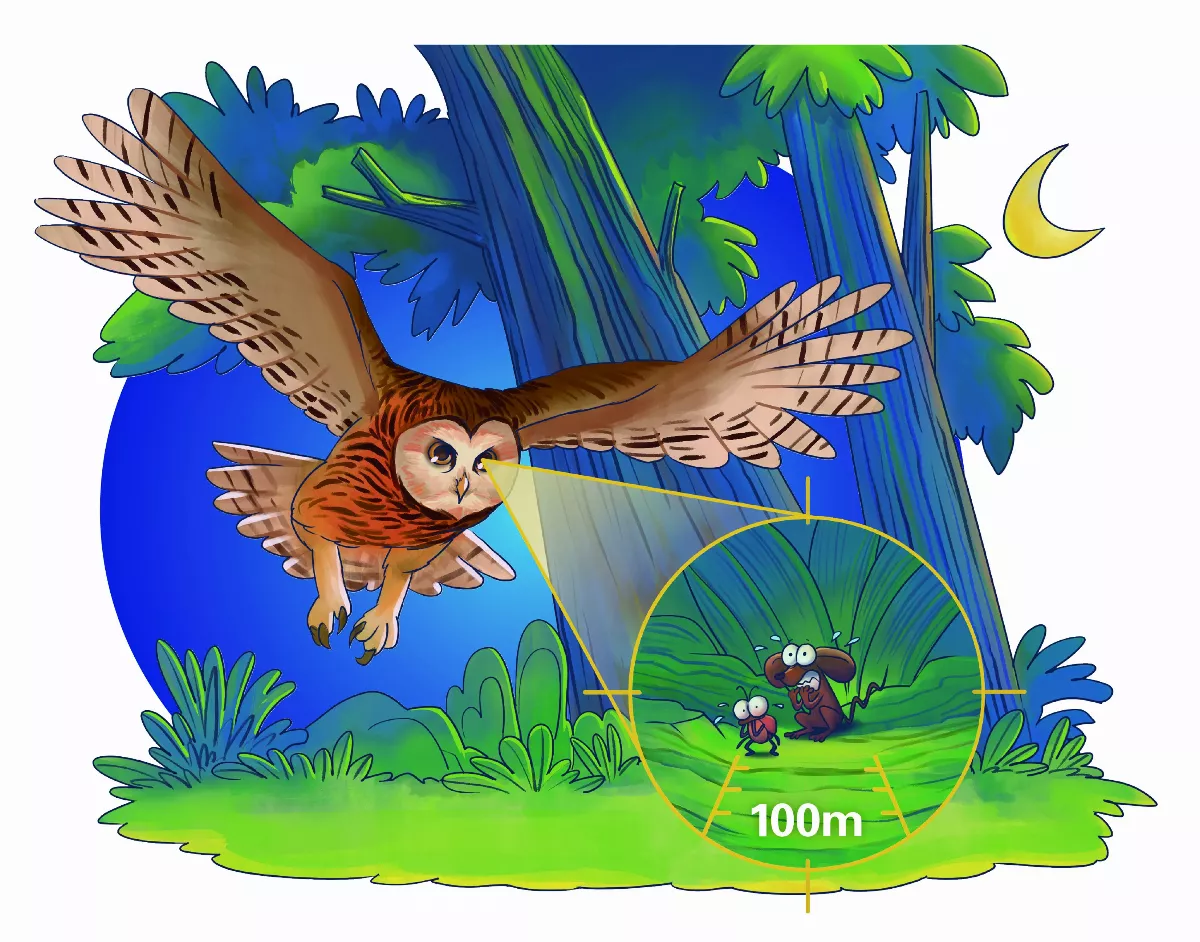 夜行性動物之夜視能力