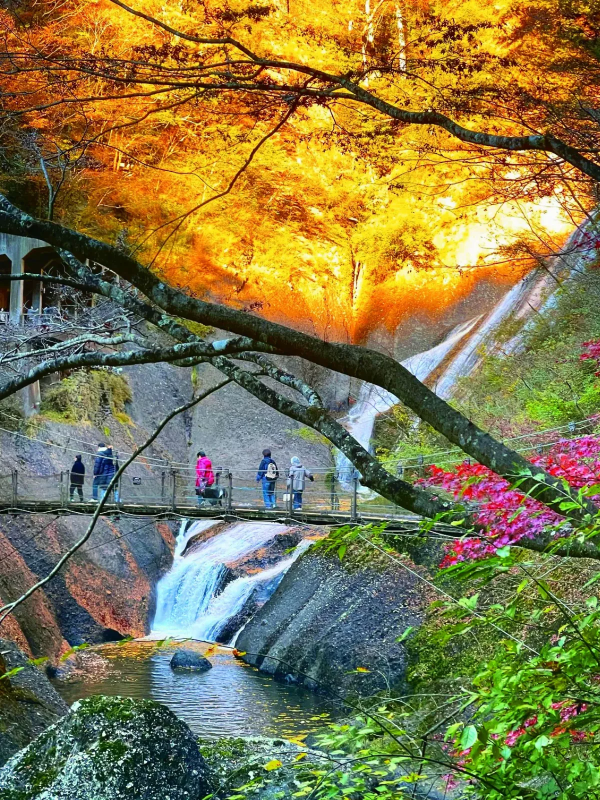 日本袋田瀑布閃金光