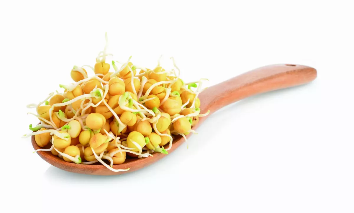 【蔬食蛋白】黃豆糙米飯 營養加值