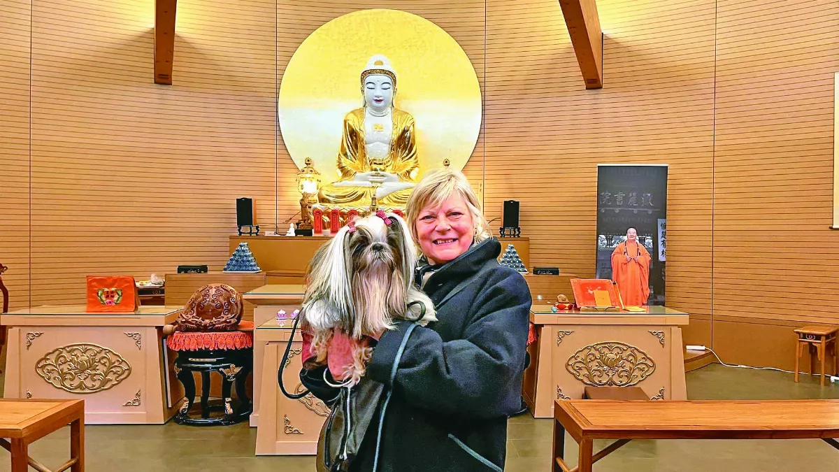 選美冠軍犬禮佛 感謝菩薩加被
