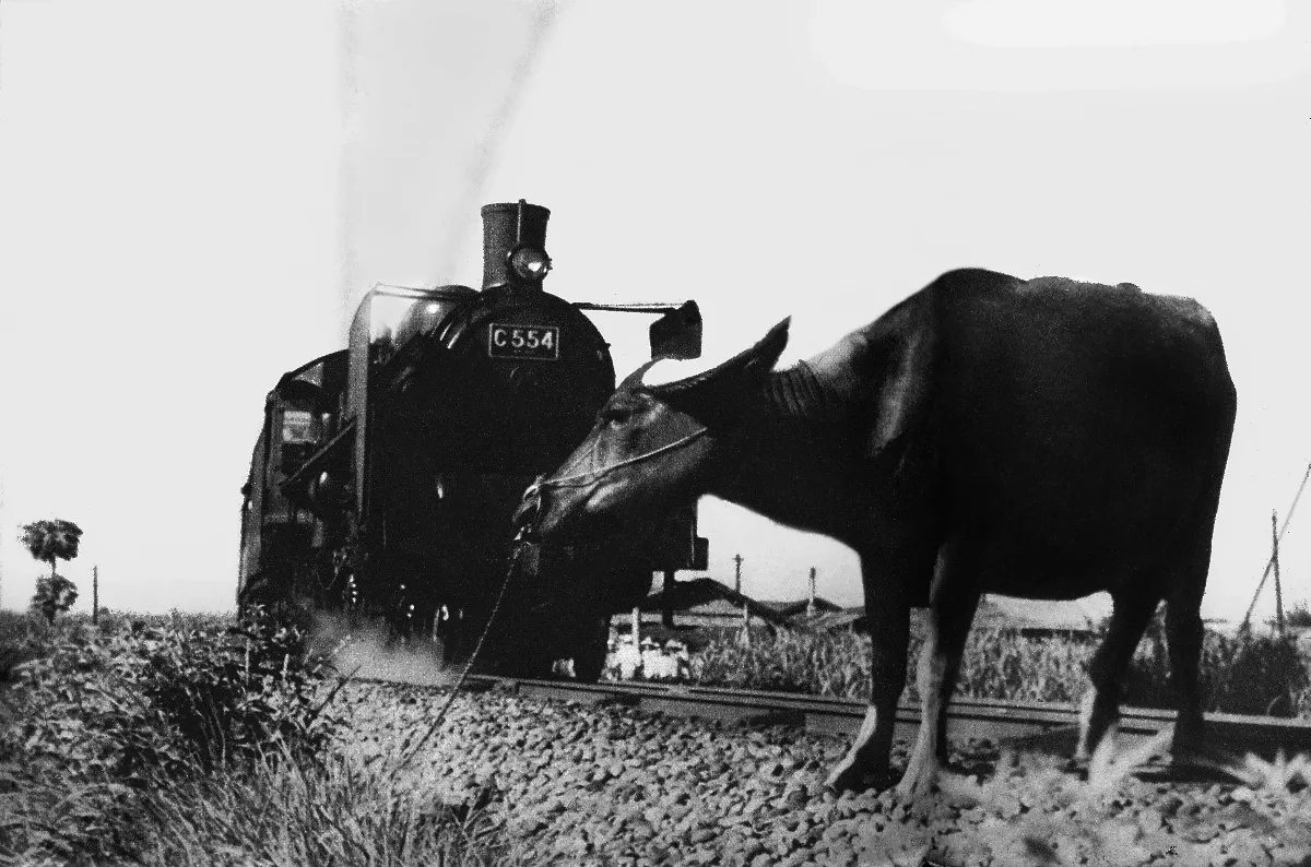 【時光走廊】台灣鐵道文化系列（17-7）各式台車與台灣光復前夕    