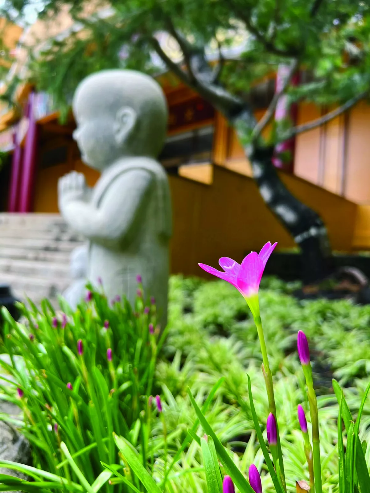 【佛學講座系列】華嚴經淨行品 心靈環保的生活