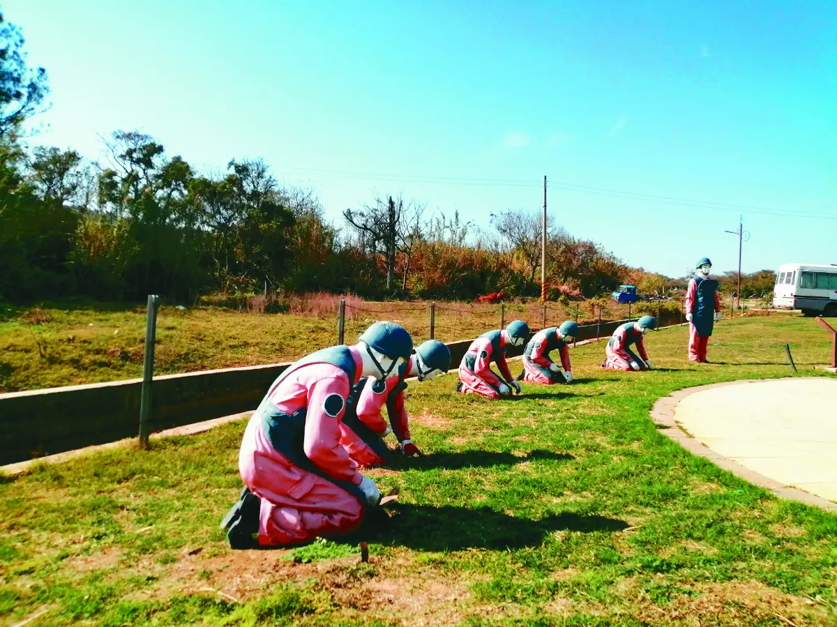 【生活快門】戰爭與和平