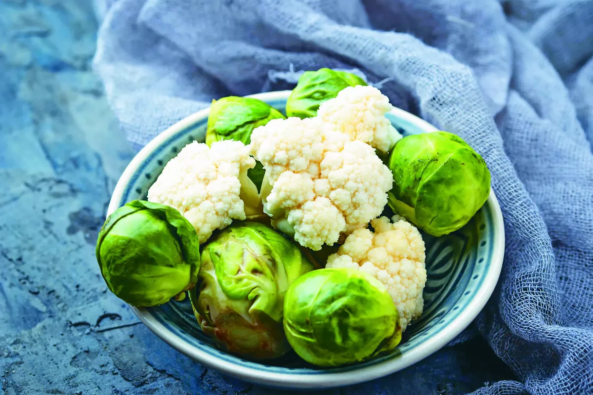 植取鈣好  植物奶加鈣搭燕麥