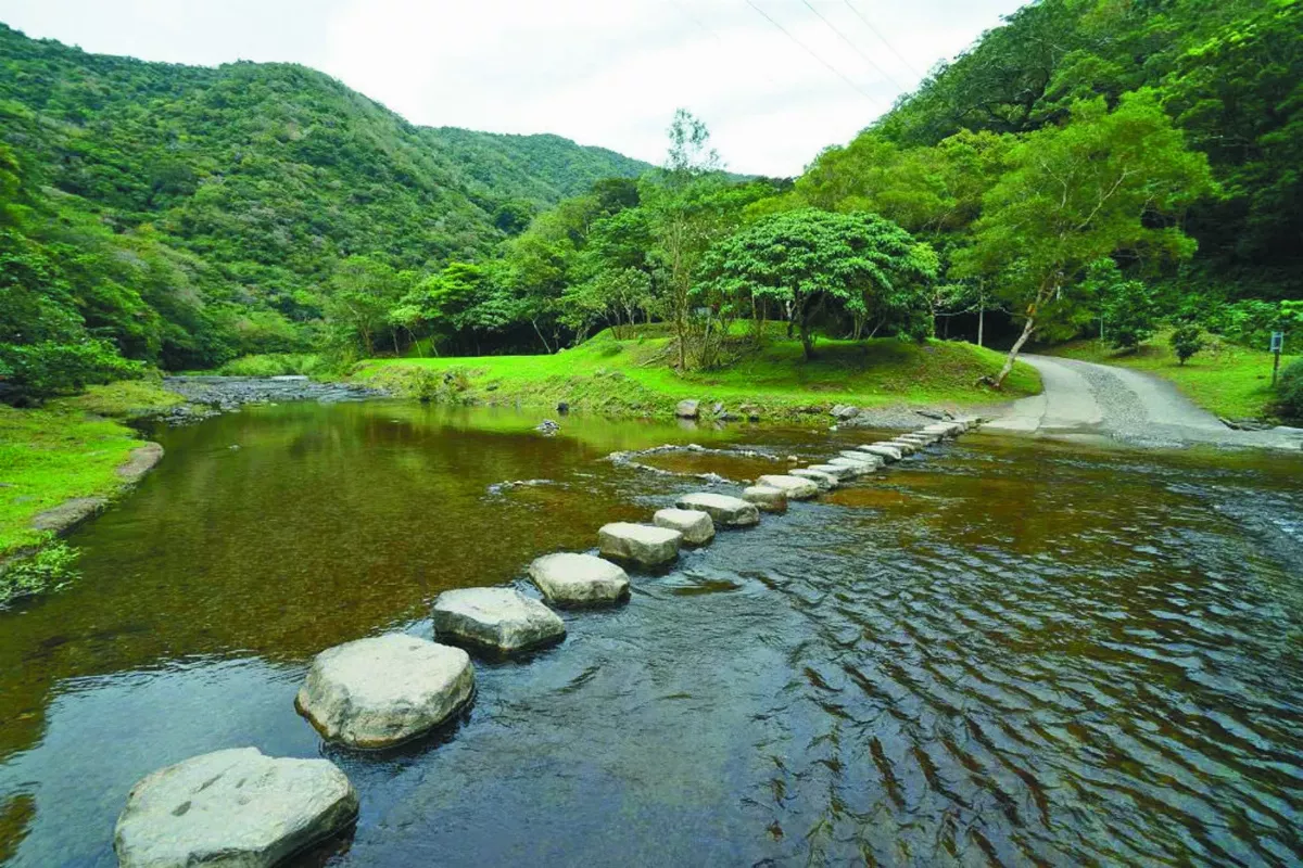 雙流森林遊樂區微整修 入園半價