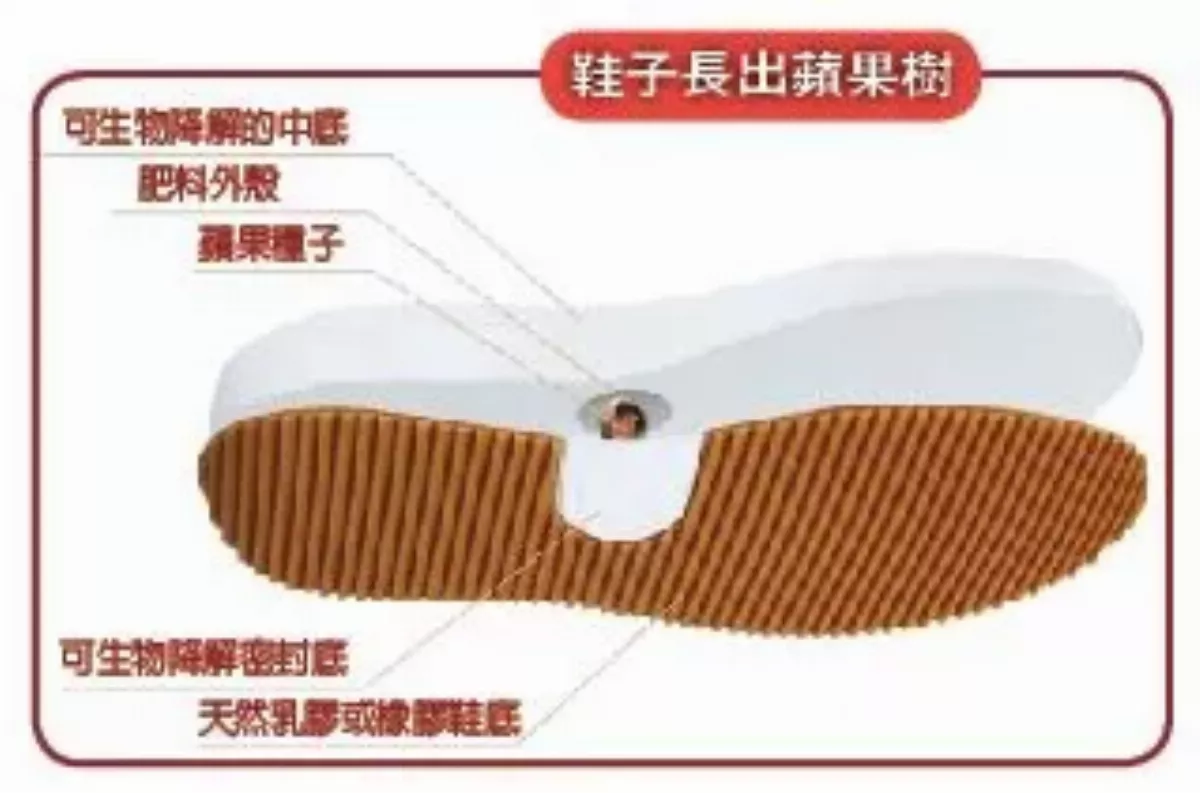 運動鞋藏種子 邊跑邊播種