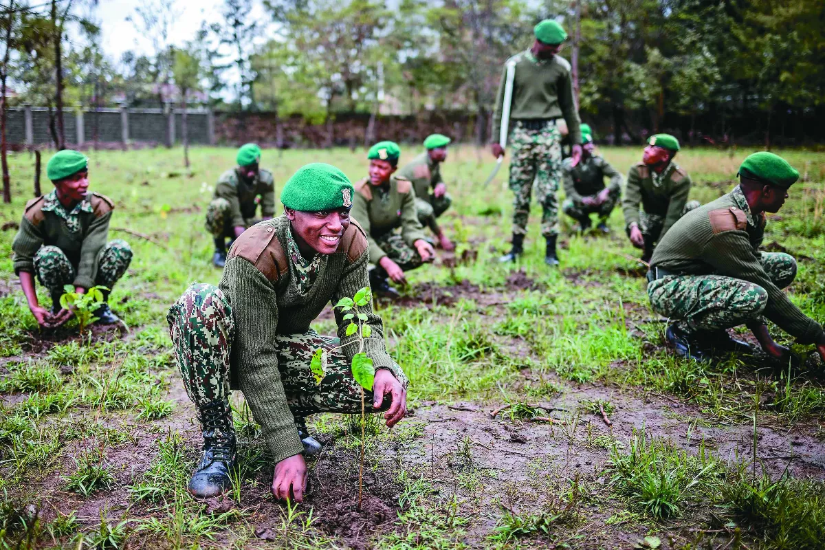 肯亞放1天假 全民種1億棵樹苗