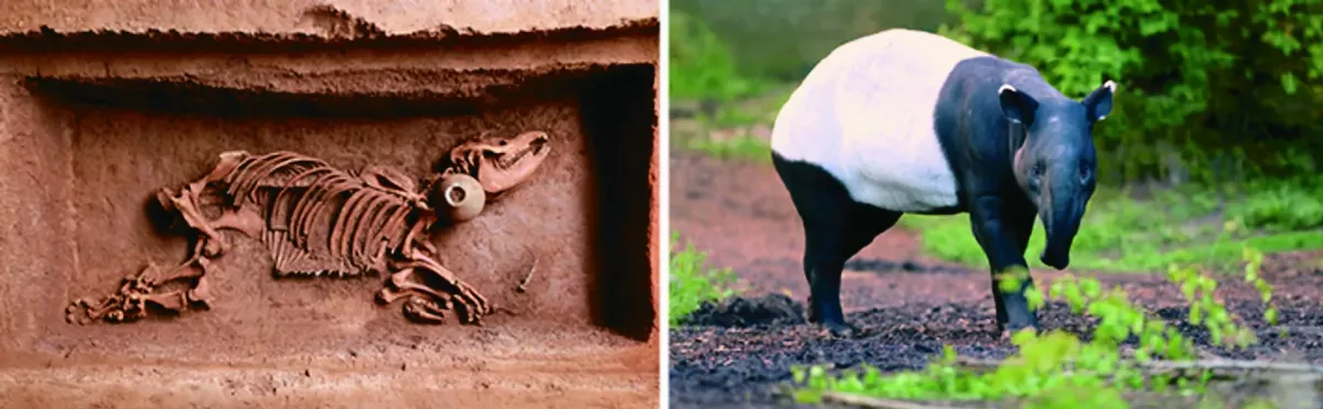 2023年 全球10大考古出爐