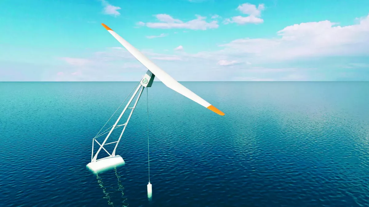 乾旱摧殘紅雪松 氣候金絲雀現蹤北美