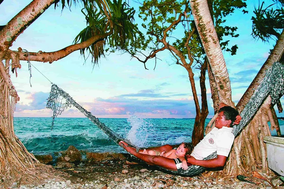 乾旱摧殘紅雪松 氣候金絲雀現蹤北美