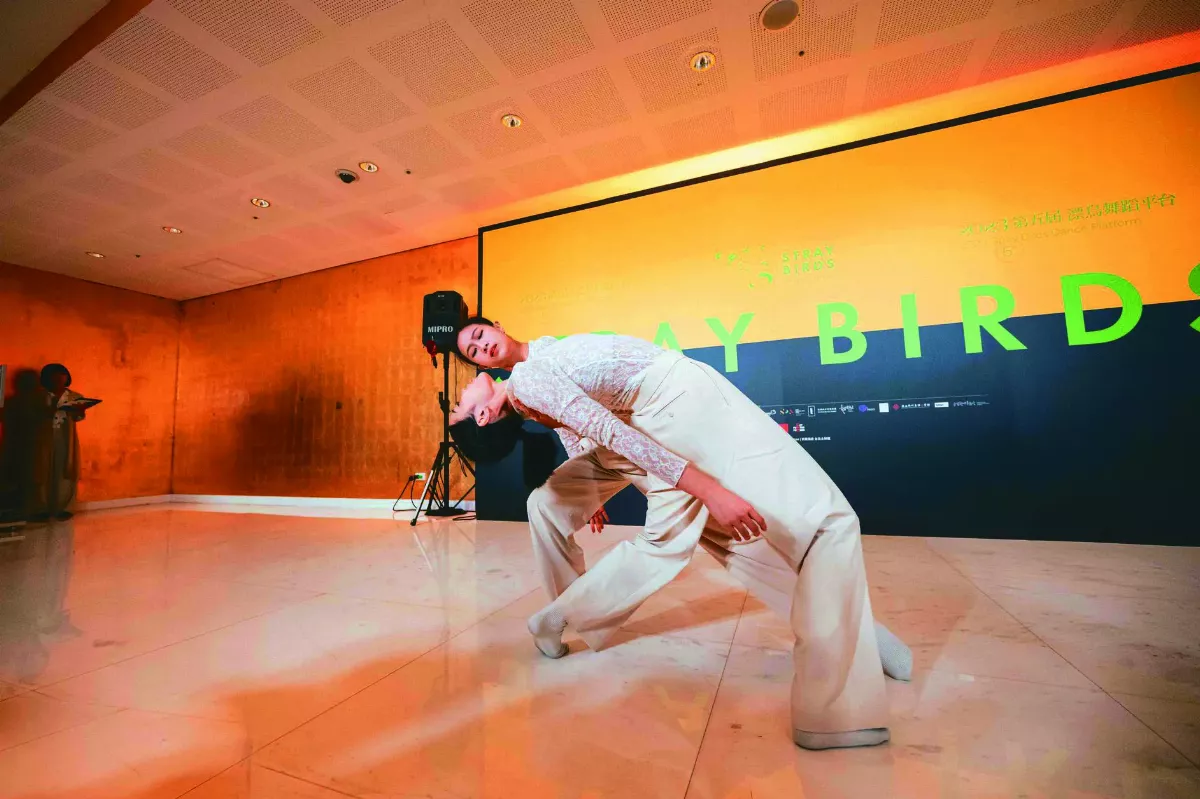 漂鳥舞蹈平台 展演冒險精神