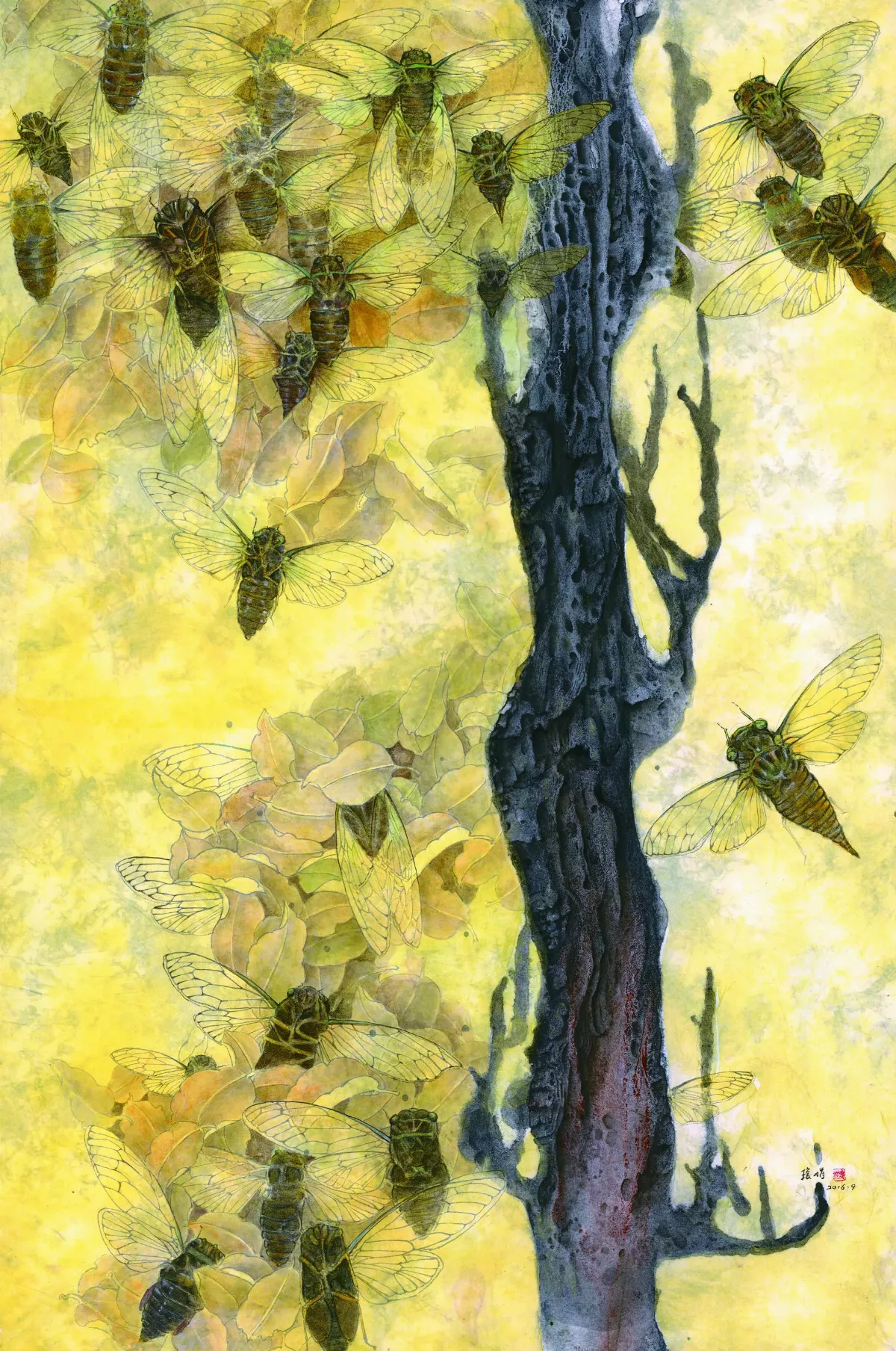 【時光重逢】遇見遠方的光