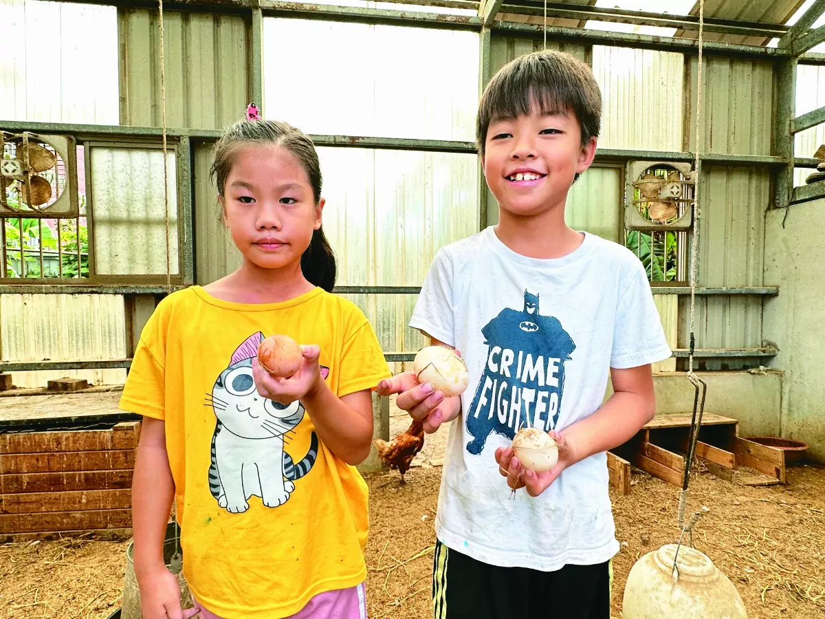 小校求生 組共學聯盟混齡教學