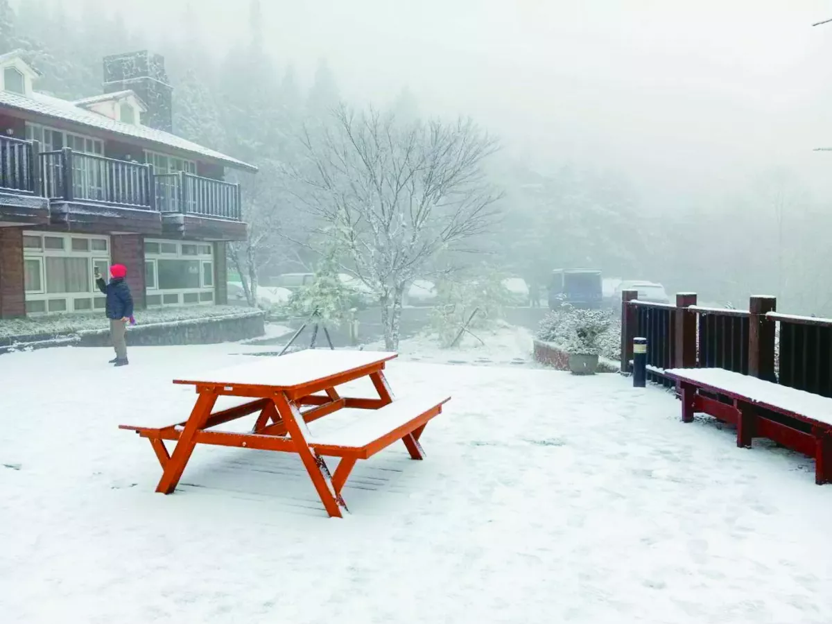 寒流發威 雪山、太平山成銀白世界