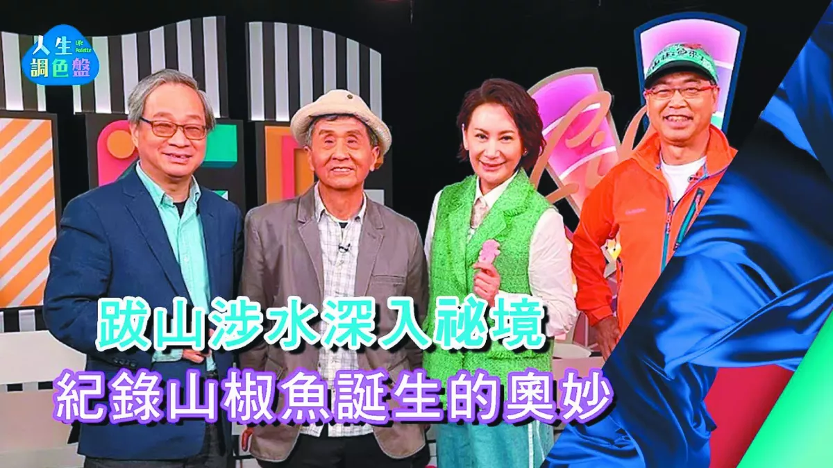 【優質電視選】《人生調色盤》