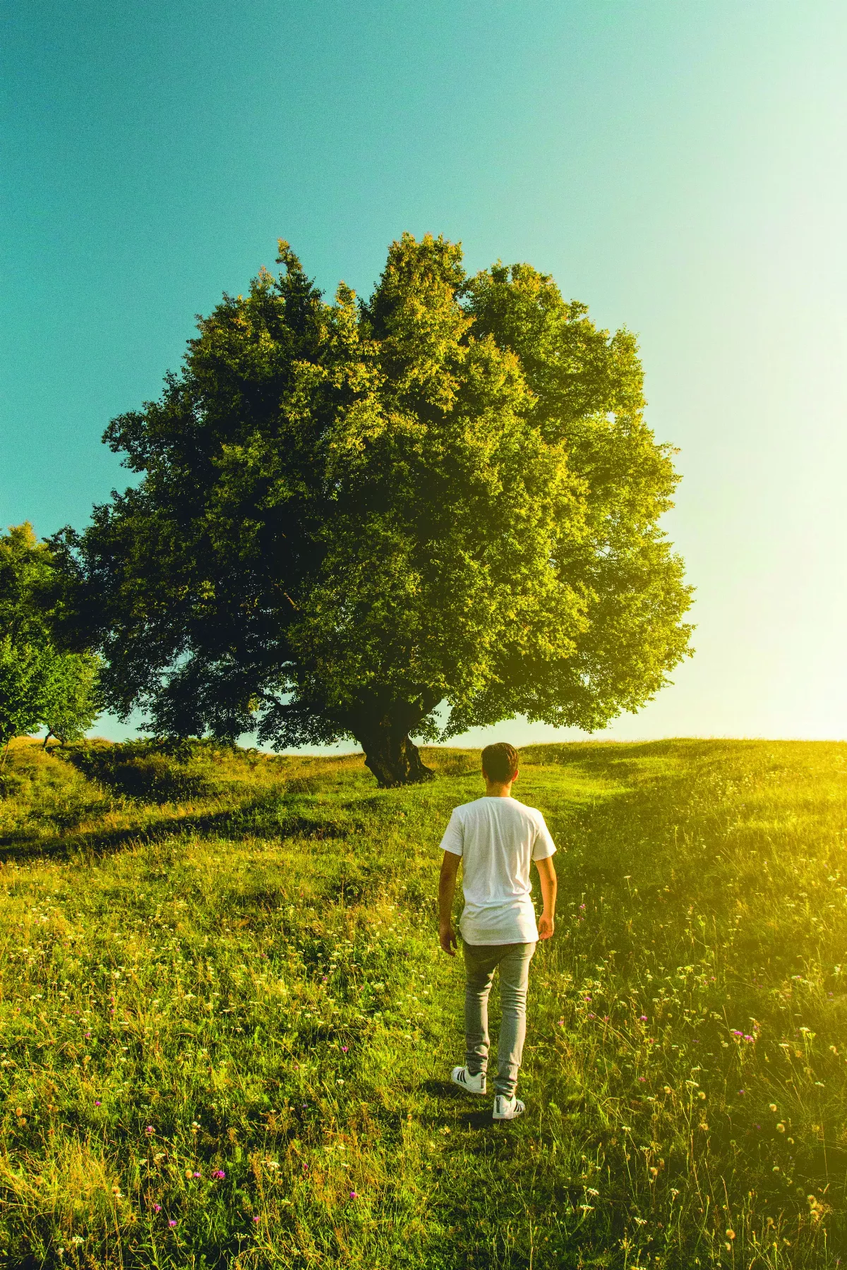 【佛學講座系列】乘願再來的心法祕笈