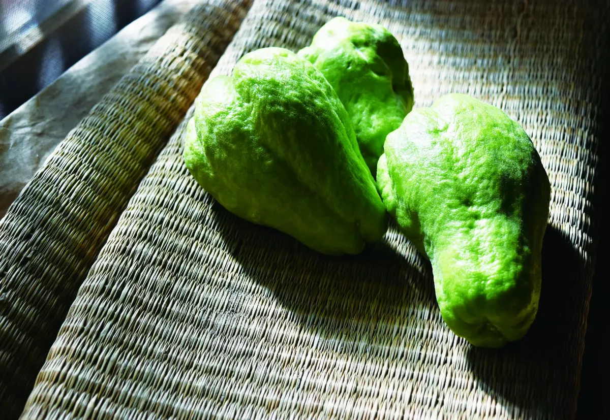 【時食有味】佛手挽龍鬚