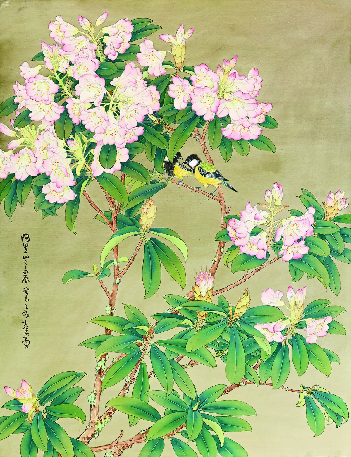 【花鳥畫意：陳士侯創作展】工筆新象展豐盈