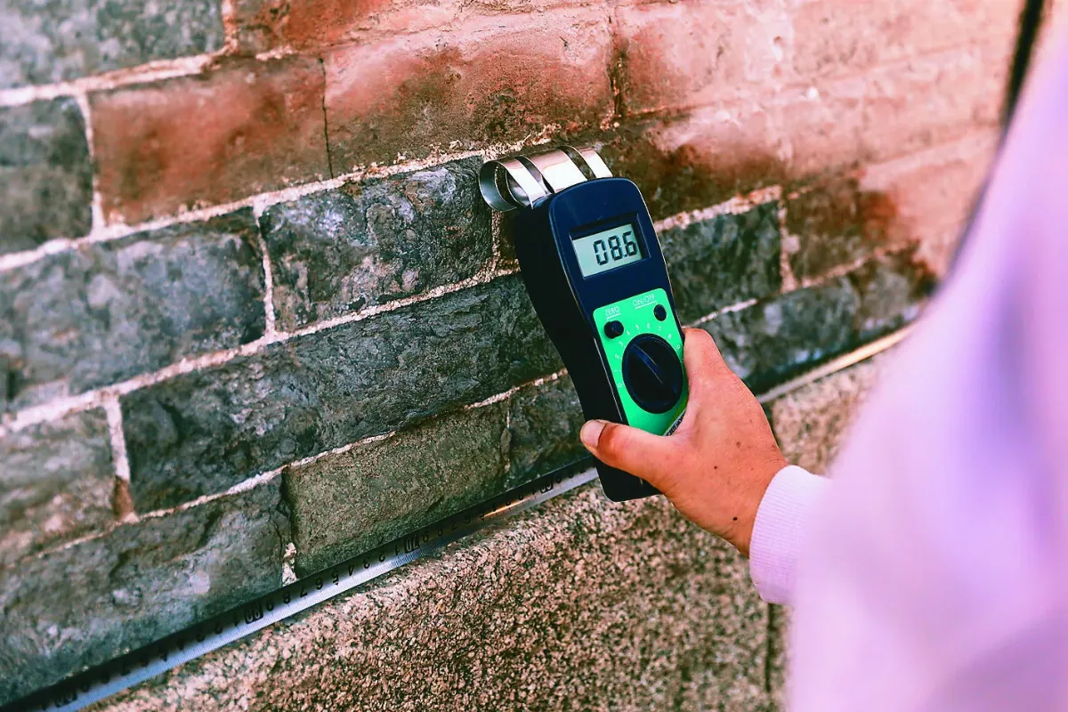 細菌、真菌、苔蘚......防堵城牆受侵蝕 生物結皮 打造萬里長城活盔甲