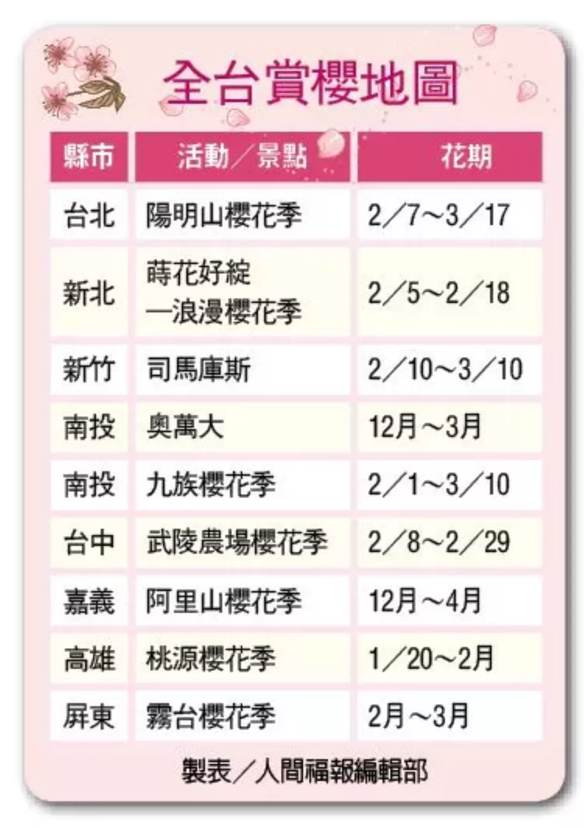 櫻花提早開  全台引爆粉紅浪漫