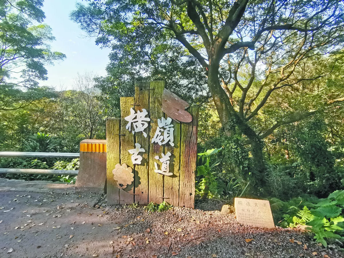 【走讀城鄉】陽明山上小祕徑──橫嶺古道