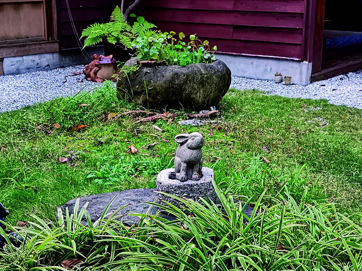 【生活快門】 兔年再見