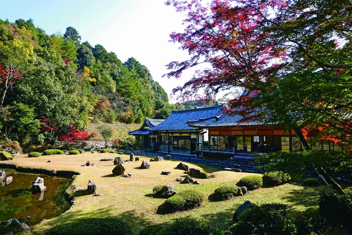 【海闊天空】孤獨之道 秋日山口一人旅