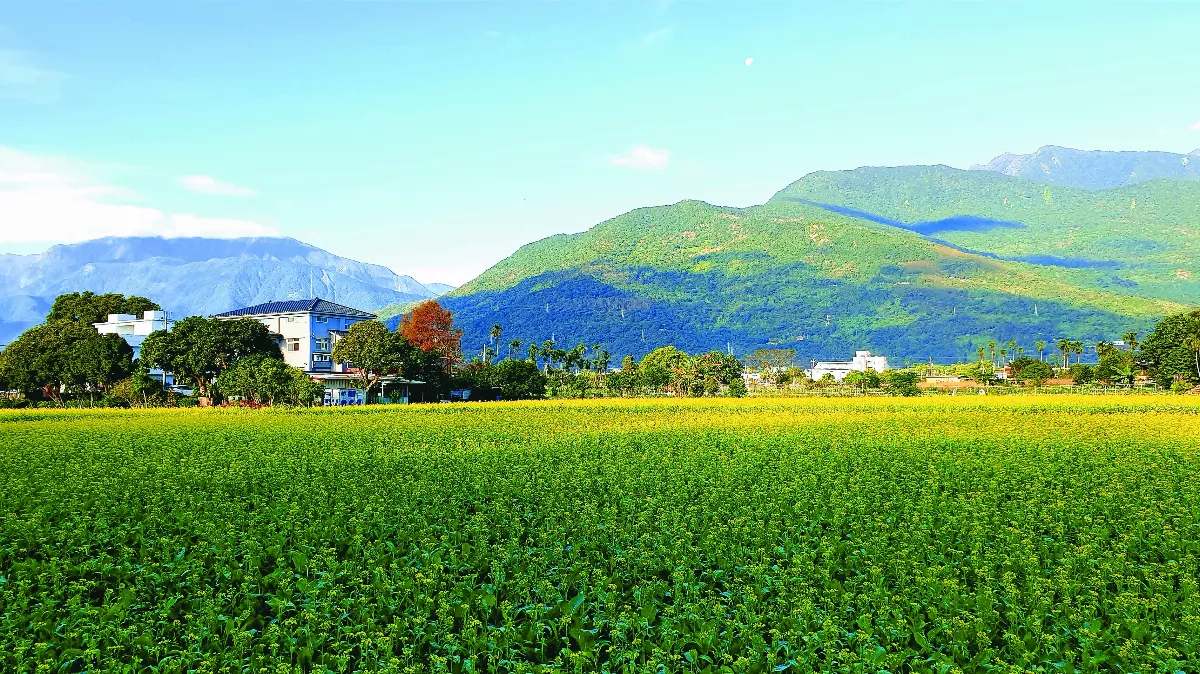【紀實攝影】田園風光
