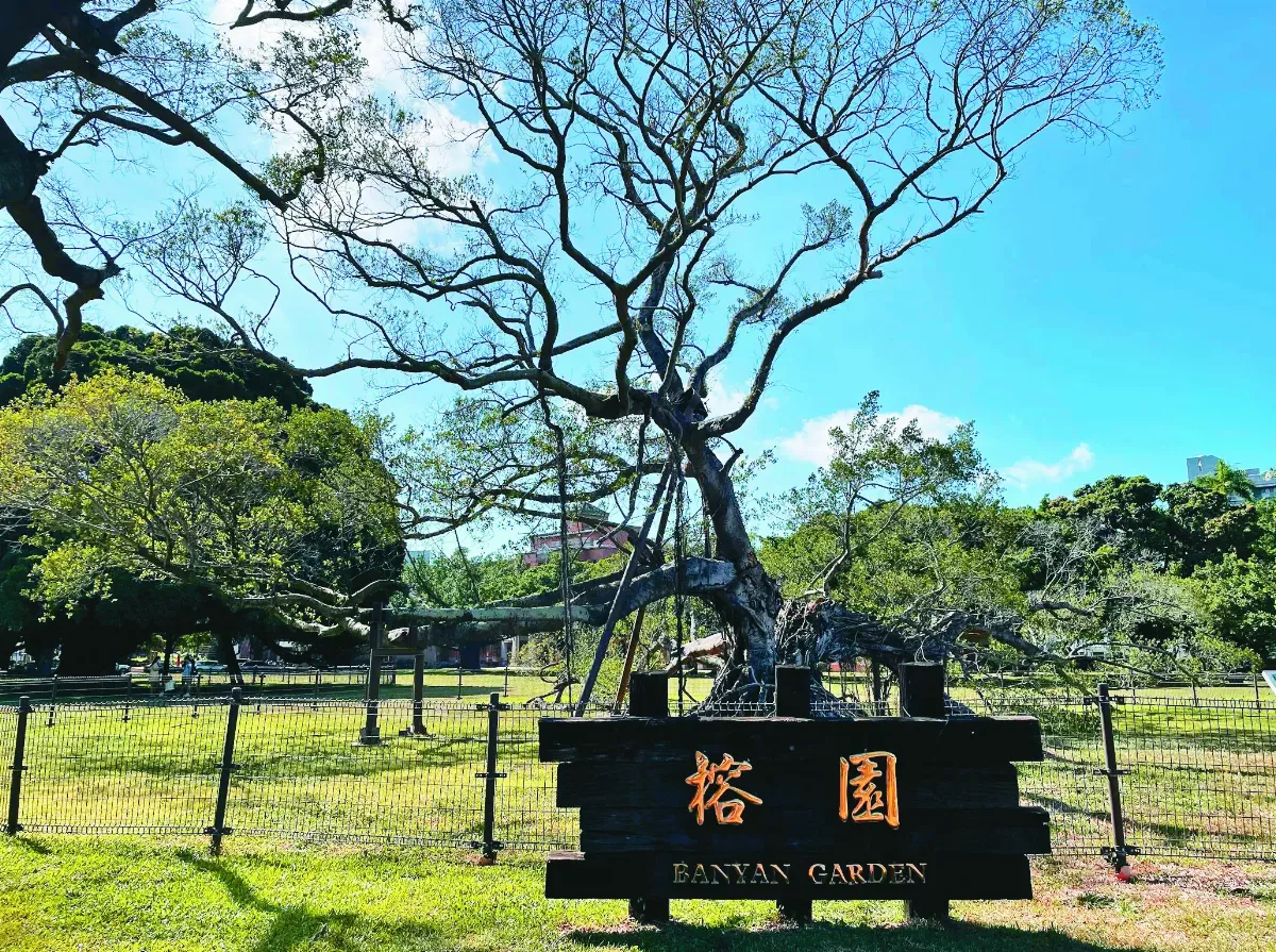 【樹博士系列】土壤的祕密II 枯木逢春 樹癌褐根病 危機中見轉機