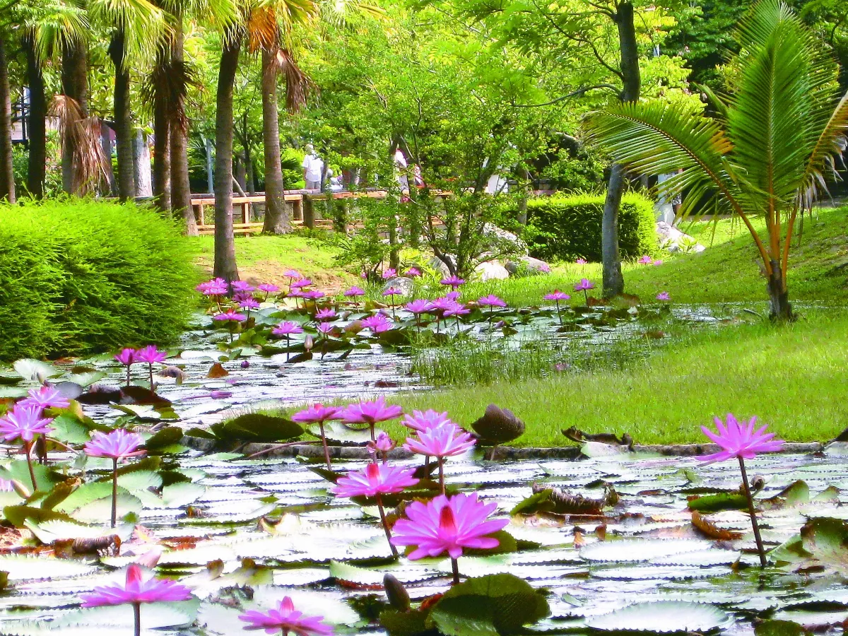 公園綠地 大自然的清淨機