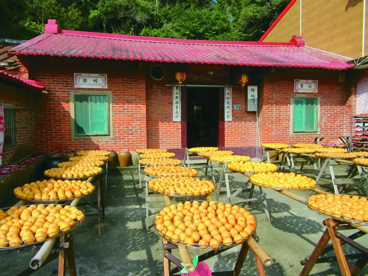 新竹．新埔 三街六巷義民亭 九降風吹晒柿餅