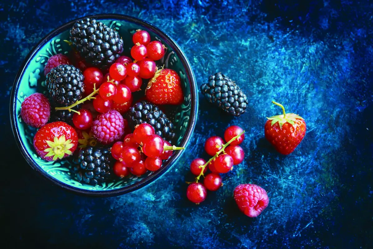 【益心良食】軟化血管最佳食物