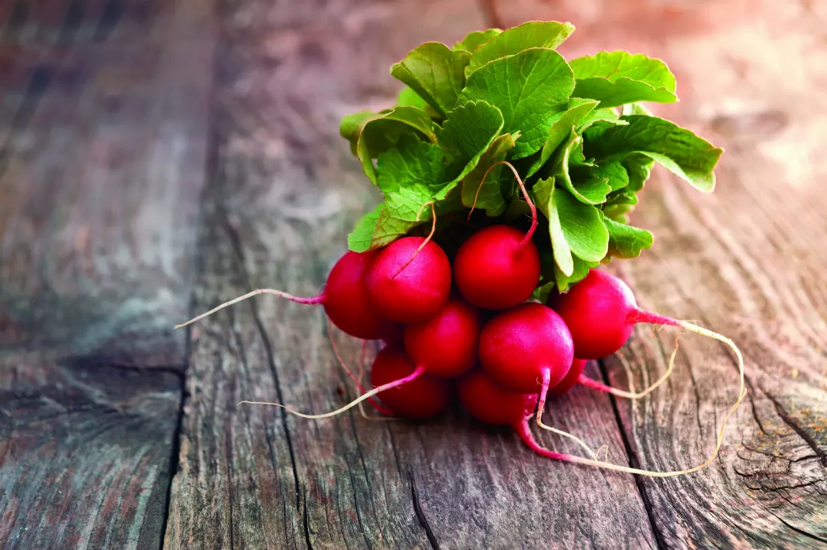 【益心良食】軟化血管最佳食物