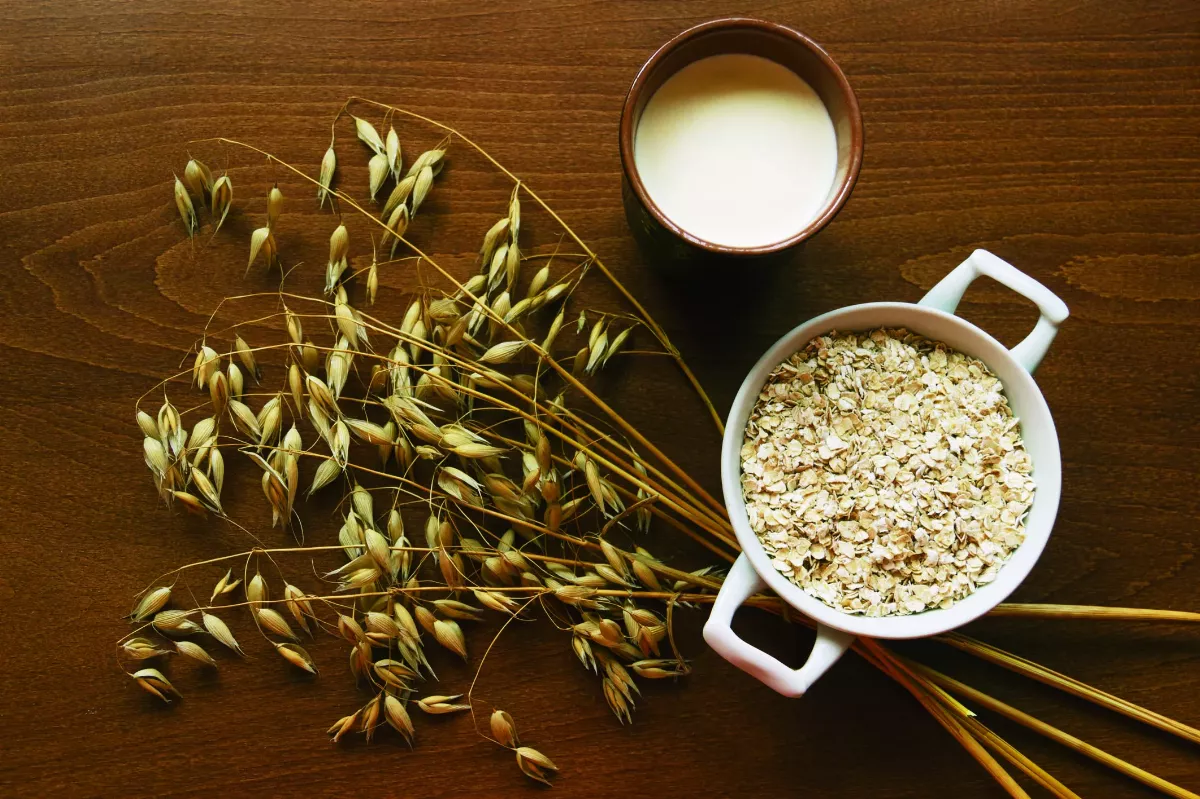 【益心良食】軟化血管最佳食物