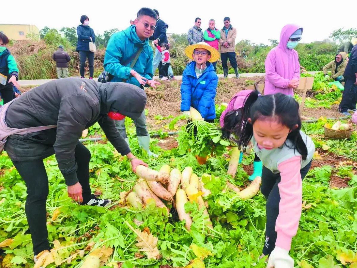 250位親子 歡樂拔蘿蔔