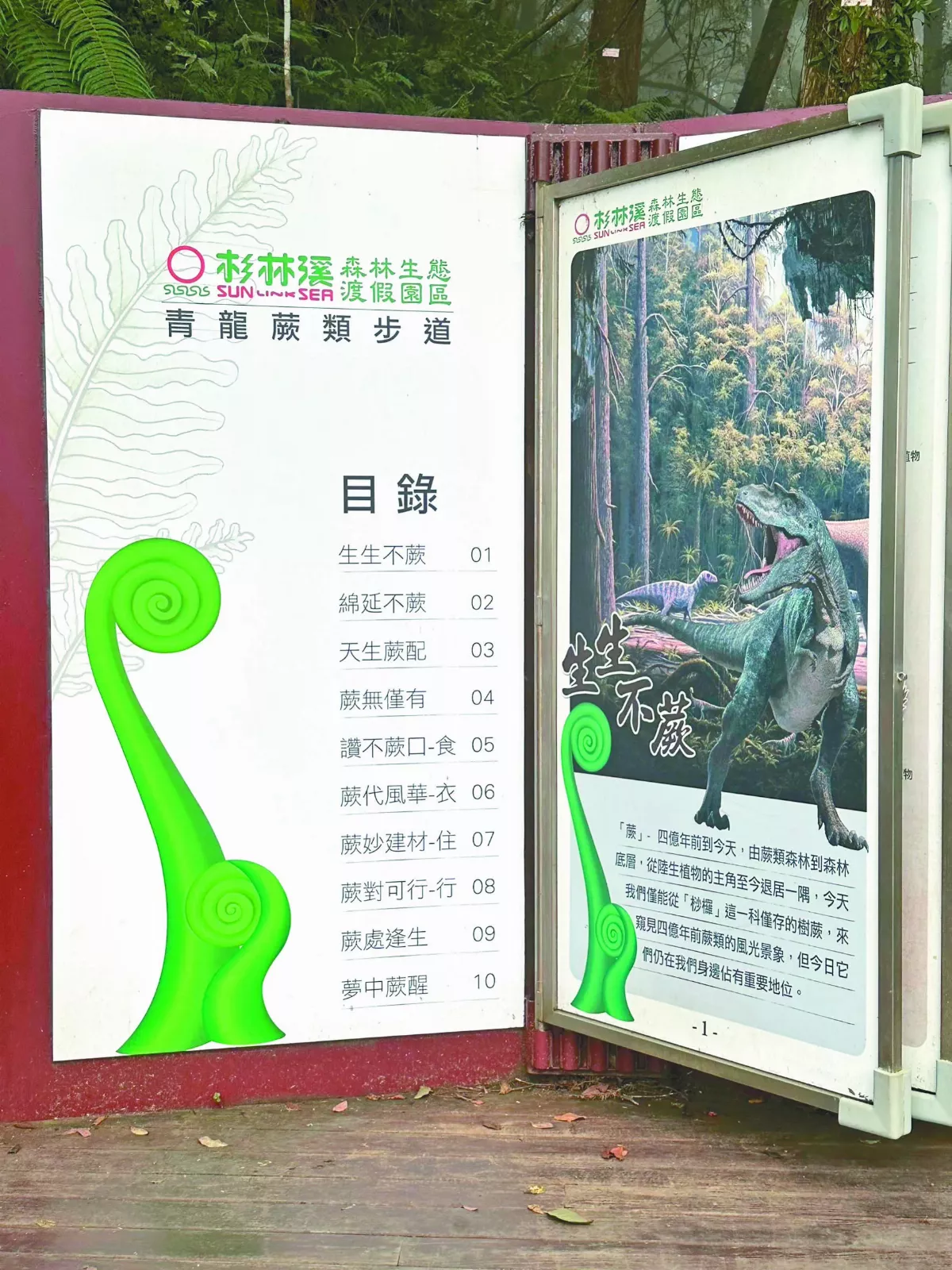 【到此一遊】書寫蕨類風光史