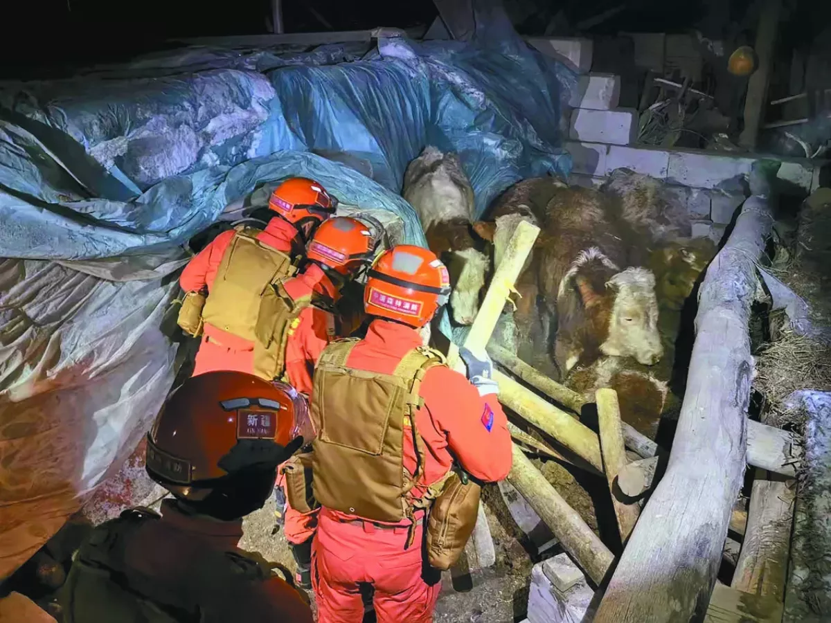 新疆7.1強震 至少3死安置逾萬人
