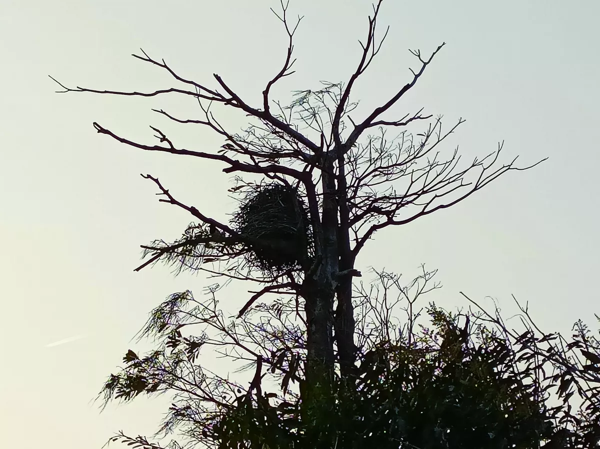 【生活快門】 也是裝置藝術