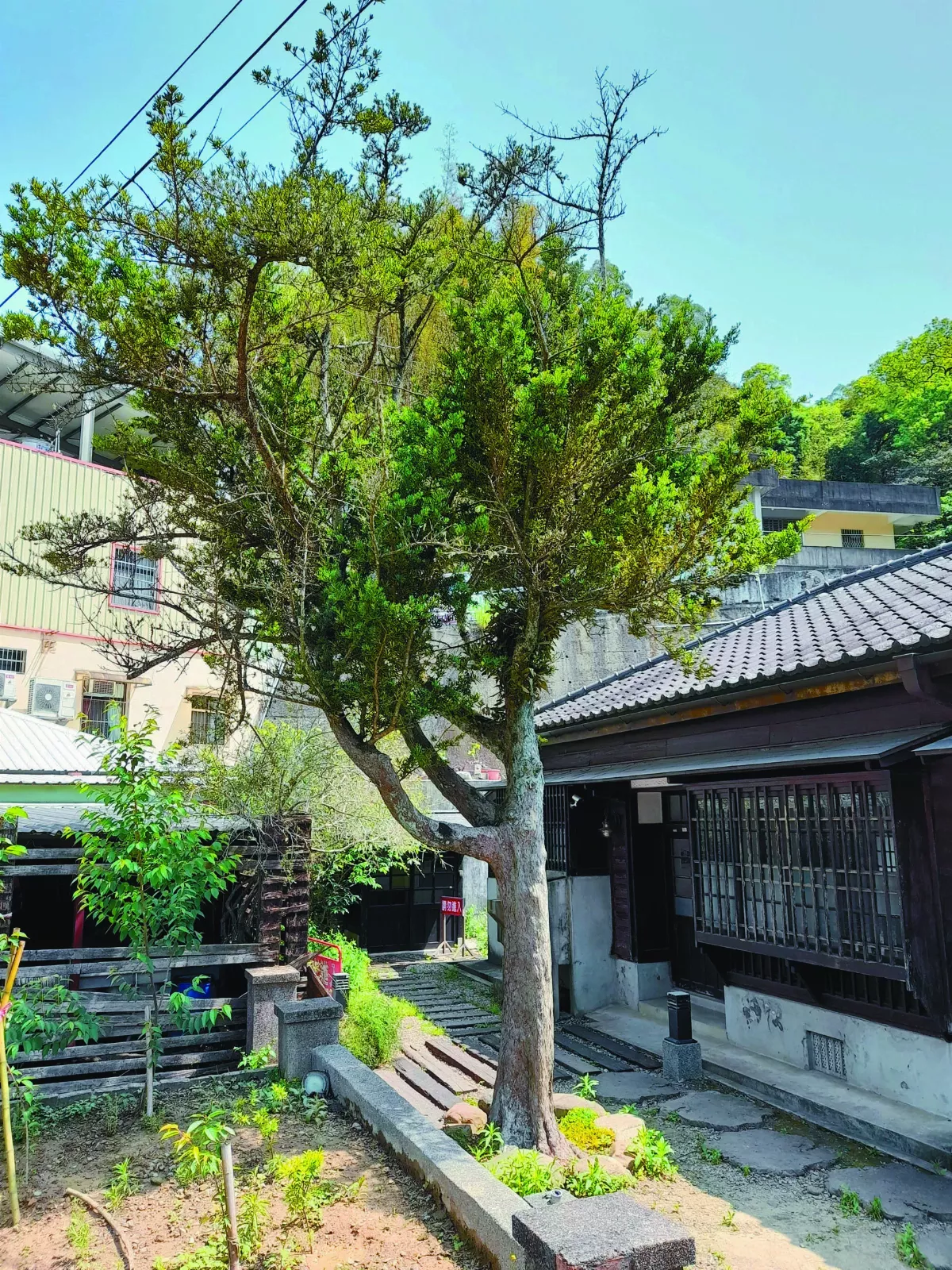 【印象旅人】風景美不美 導覽一張嘴