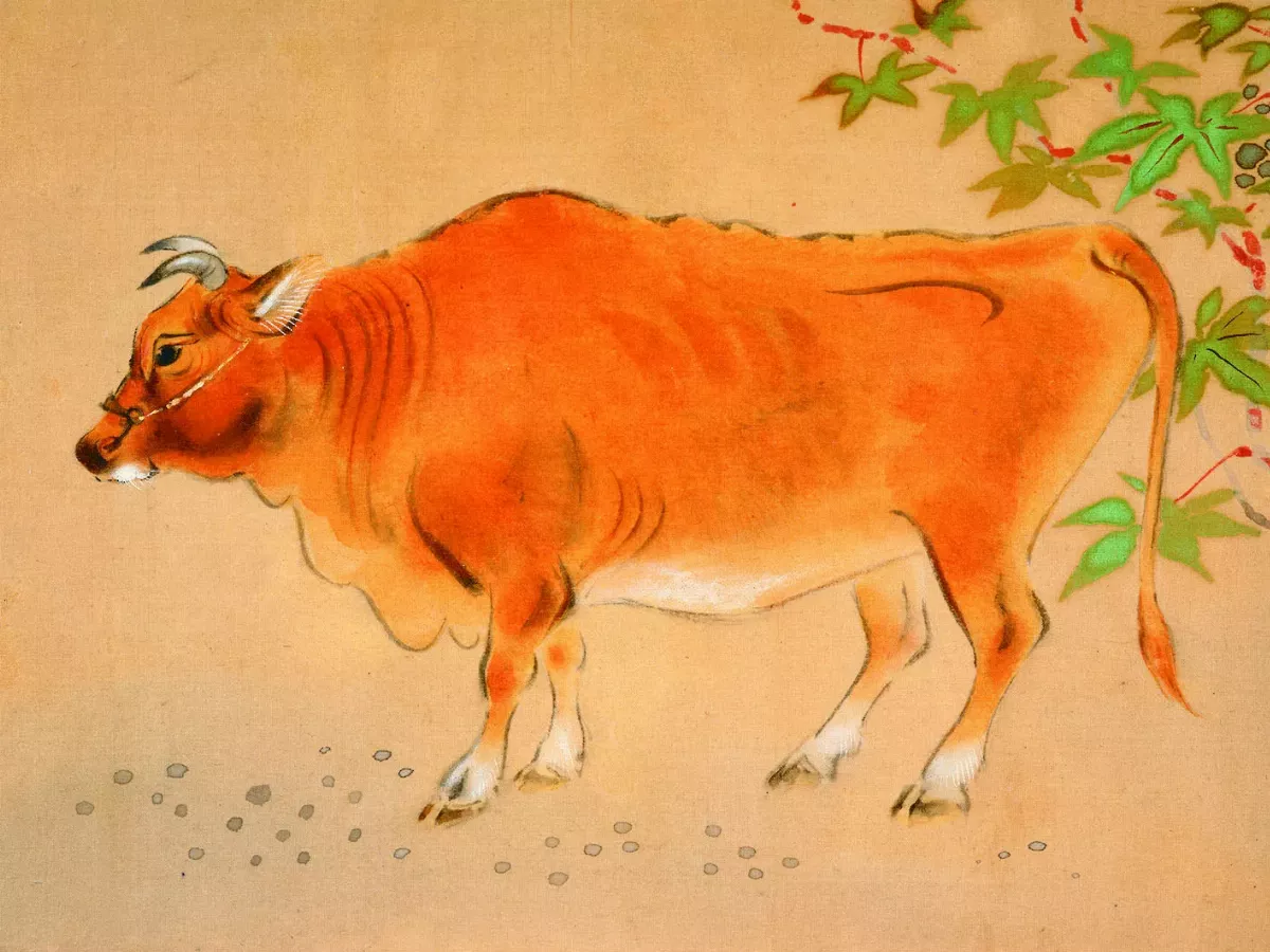 整修5年  史博館2月開館