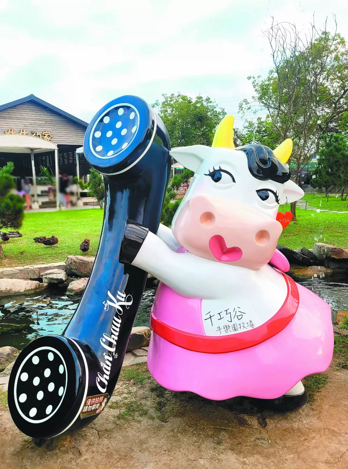 【生活快門】話筒傳心願