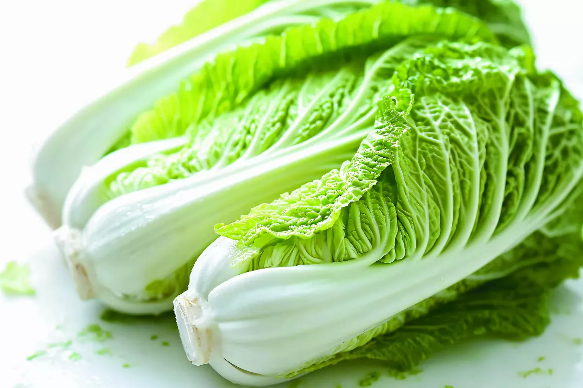 大白菜有黑點可食否?  農糧署有解