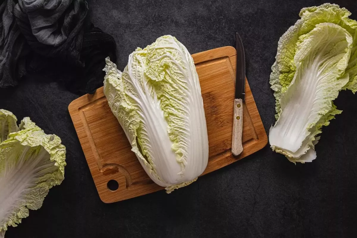 大白菜具抗癌功效 長了黑點還能吃嗎？